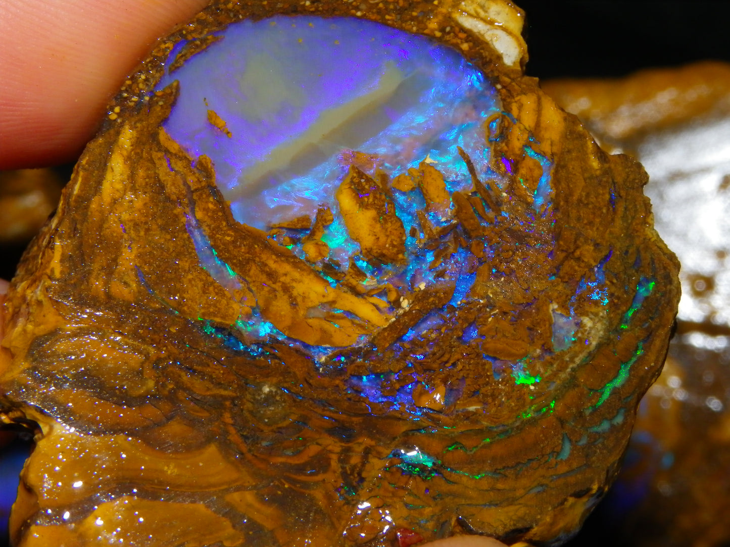 Very Nice Qld Pipe Opal Rough Slice Parcel/Set 2240cts Blue/Green/Purple Collectors lot 6 Piece