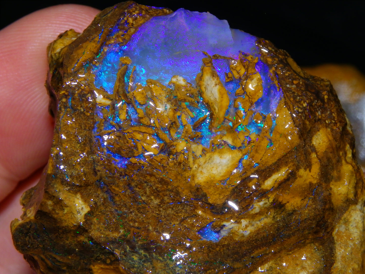 Very Nice Qld Pipe Opal Rough Slice Parcel/Set 2240cts Blue/Green/Purple Collectors lot 6 Piece
