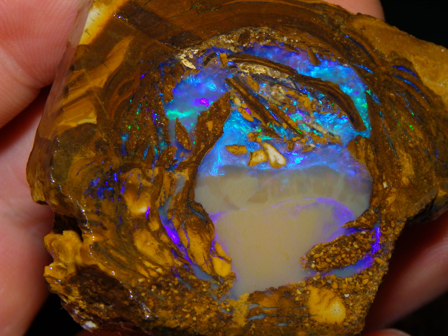 Very Nice Qld Pipe Opal Rough Slice Parcel/Set 2240cts Blue/Green/Purple Collectors lot 6 Piece