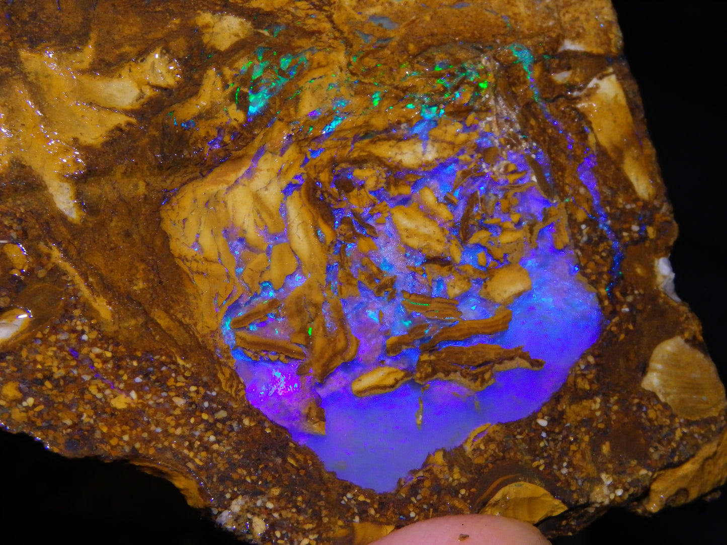 Very Nice Qld Pipe Opal Rough Slice Parcel/Set 2240cts Blue/Green/Purple Collectors lot 6 Piece