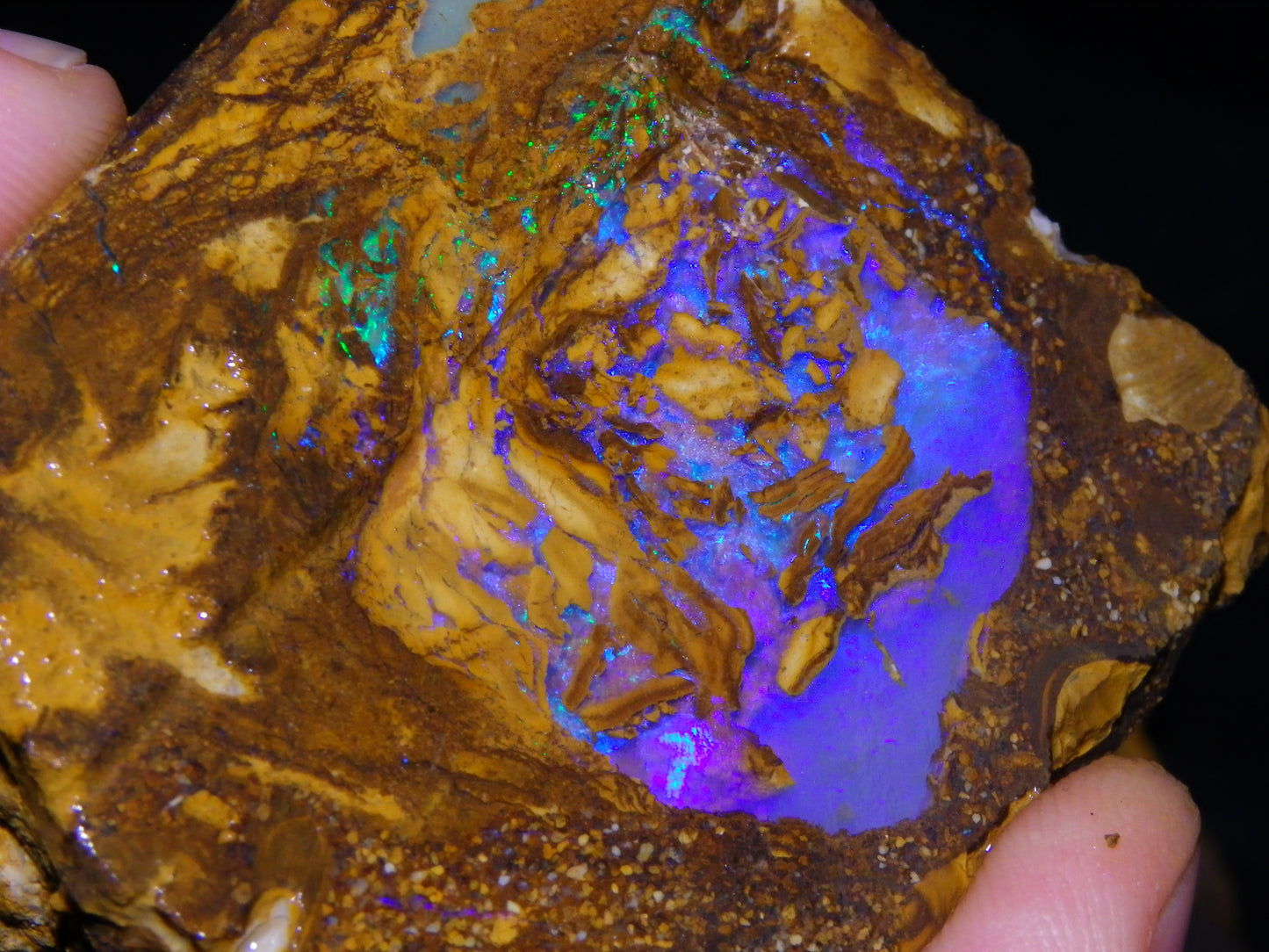 Very Nice Qld Pipe Opal Rough Slice Parcel/Set 2240cts Blue/Green/Purple Collectors lot 6 Piece