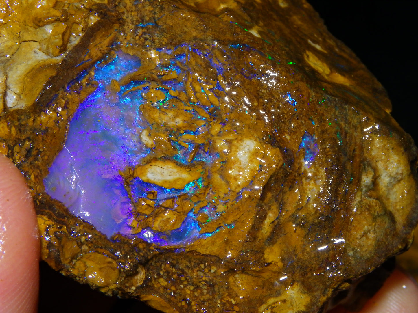 Very Nice Qld Pipe Opal Rough Slice Parcel/Set 2240cts Blue/Green/Purple Collectors lot 6 Piece