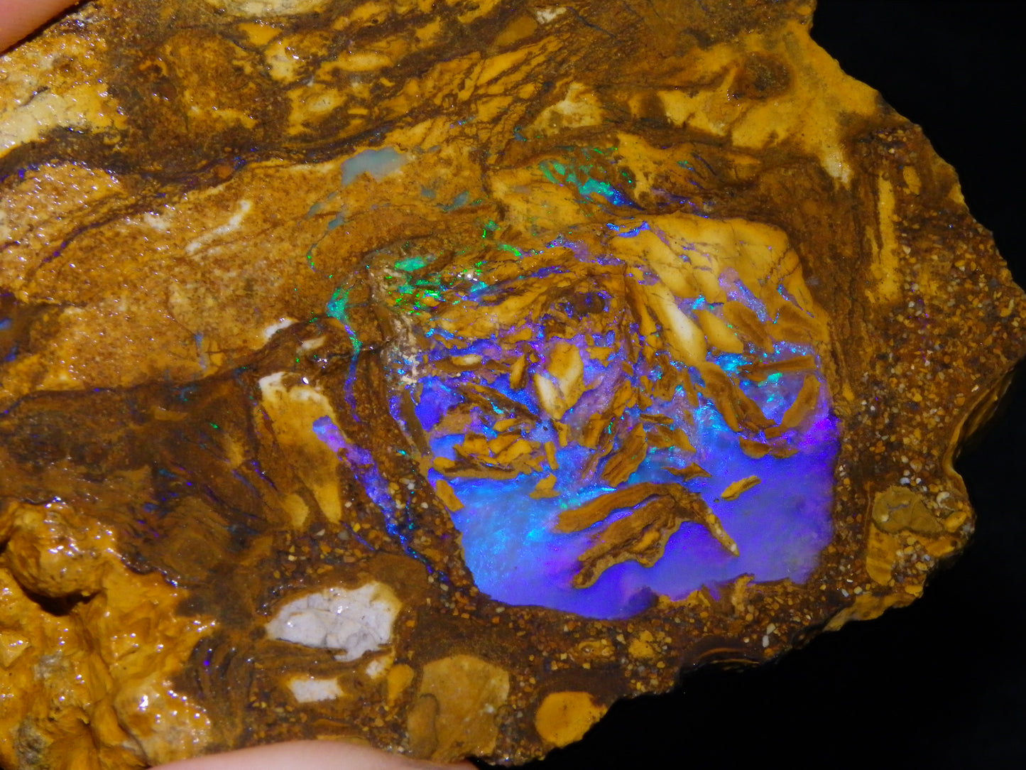 Very Nice Qld Pipe Opal Rough Slice Parcel/Set 2240cts Blue/Green/Purple Collectors lot 6 Piece