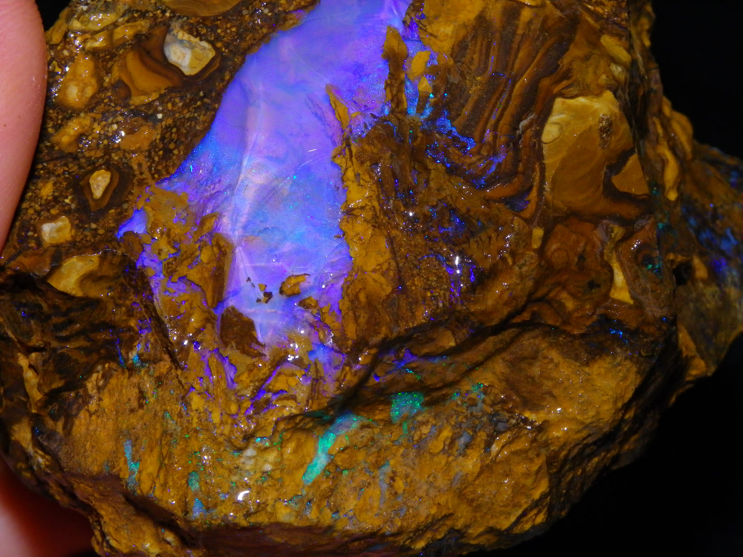 Very Nice Qld Pipe Opal Rough Slice Parcel/Set 2240cts Blue/Green/Purple Collectors lot 6 Piece