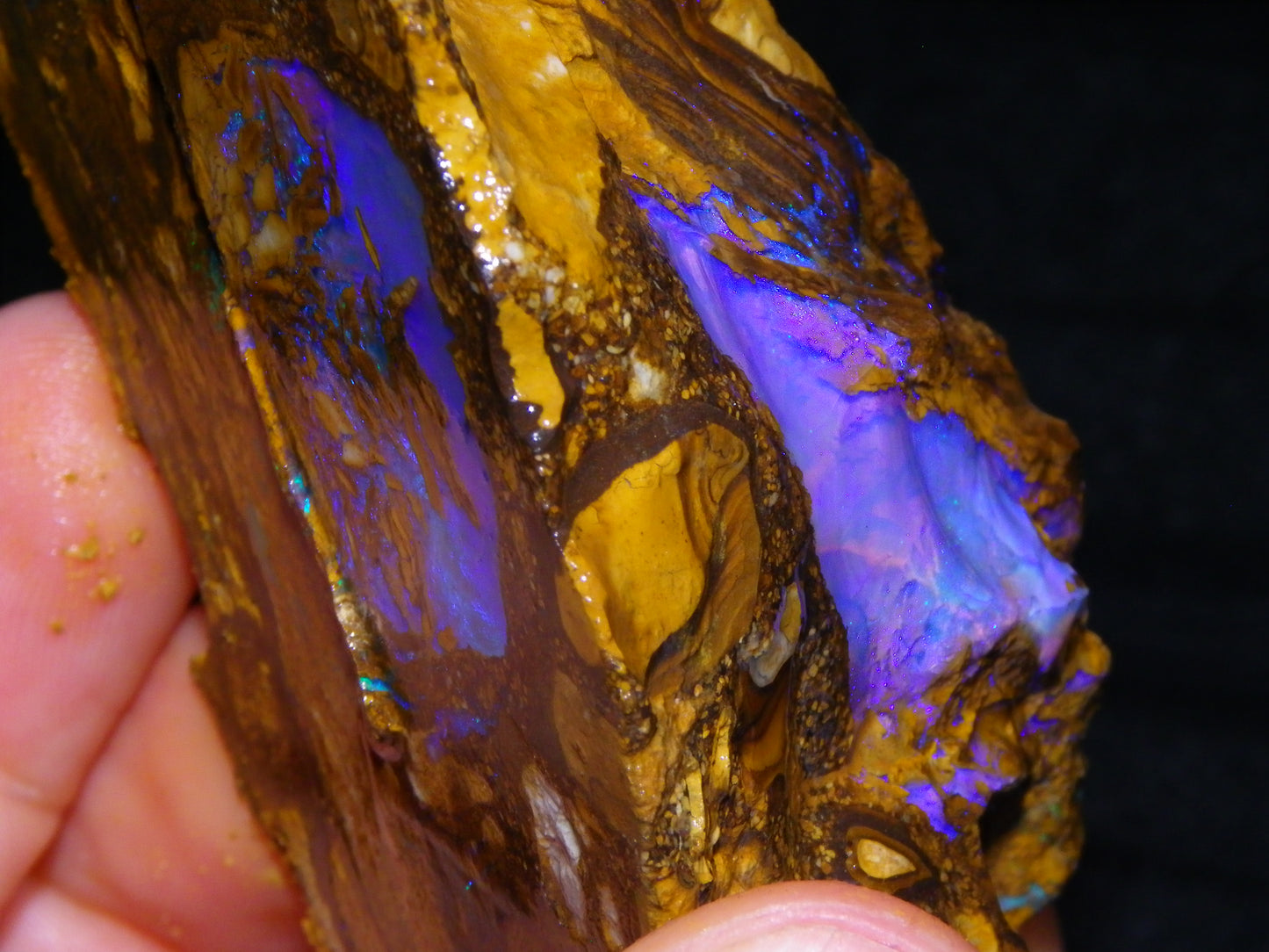 Very Nice Qld Pipe Opal Rough Slice Parcel/Set 2240cts Blue/Green/Purple Collectors lot 6 Piece