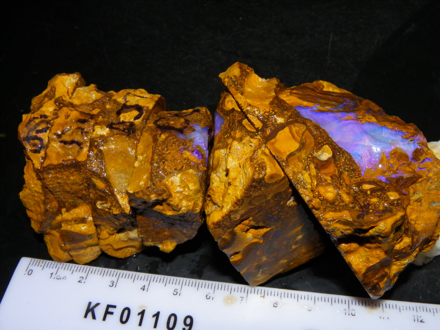 Very Nice Qld Pipe Opal Rough Slice Parcel/Set 2240cts Blue/Green/Purple Collectors lot 6 Piece