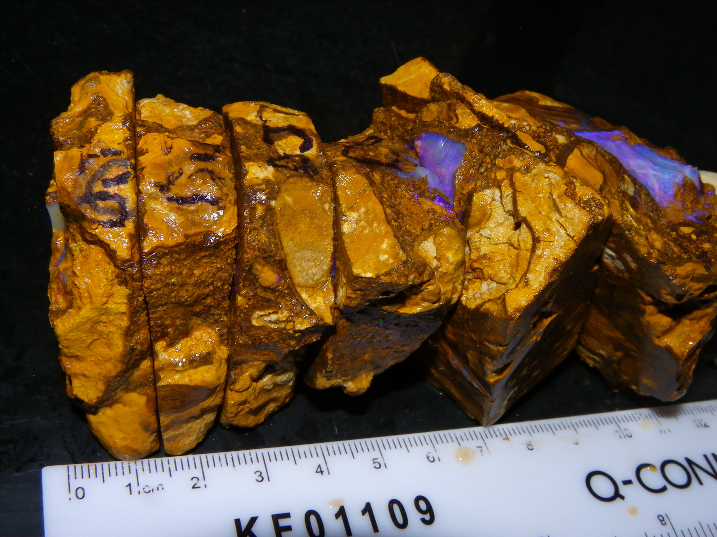 Very Nice Qld Pipe Opal Rough Slice Parcel/Set 2240cts Blue/Green/Purple Collectors lot 6 Piece