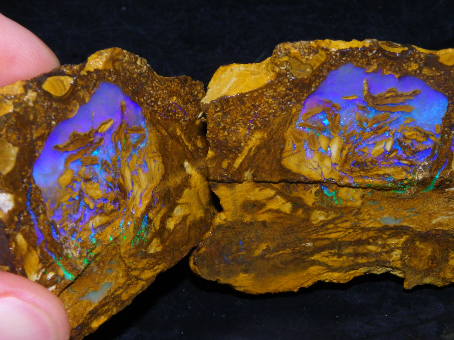 Very Nice Qld Pipe Opal Rough Slice Parcel/Set 2240cts Blue/Green/Purple Collectors lot 6 Piece