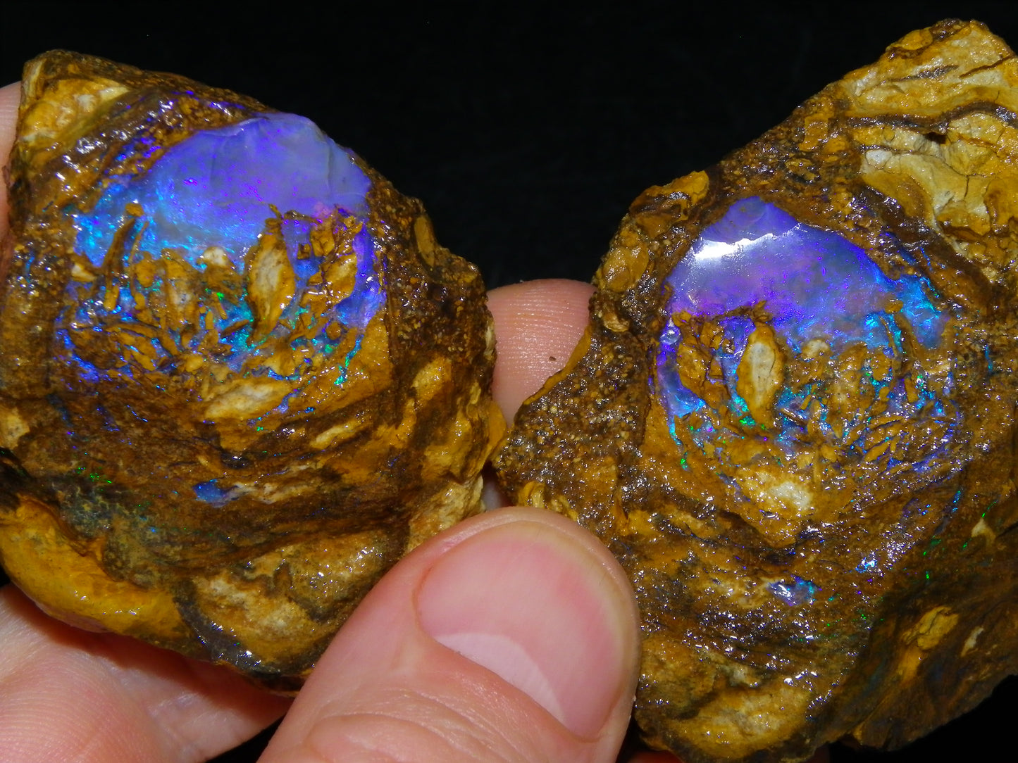 Very Nice Qld Pipe Opal Rough Slice Parcel/Set 2240cts Blue/Green/Purple Collectors lot 6 Piece