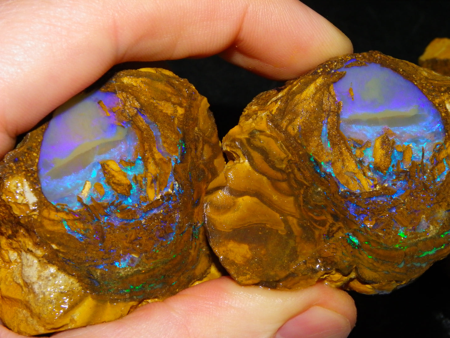 Very Nice Qld Pipe Opal Rough Slice Parcel/Set 2240cts Blue/Green/Purple Collectors lot 6 Piece