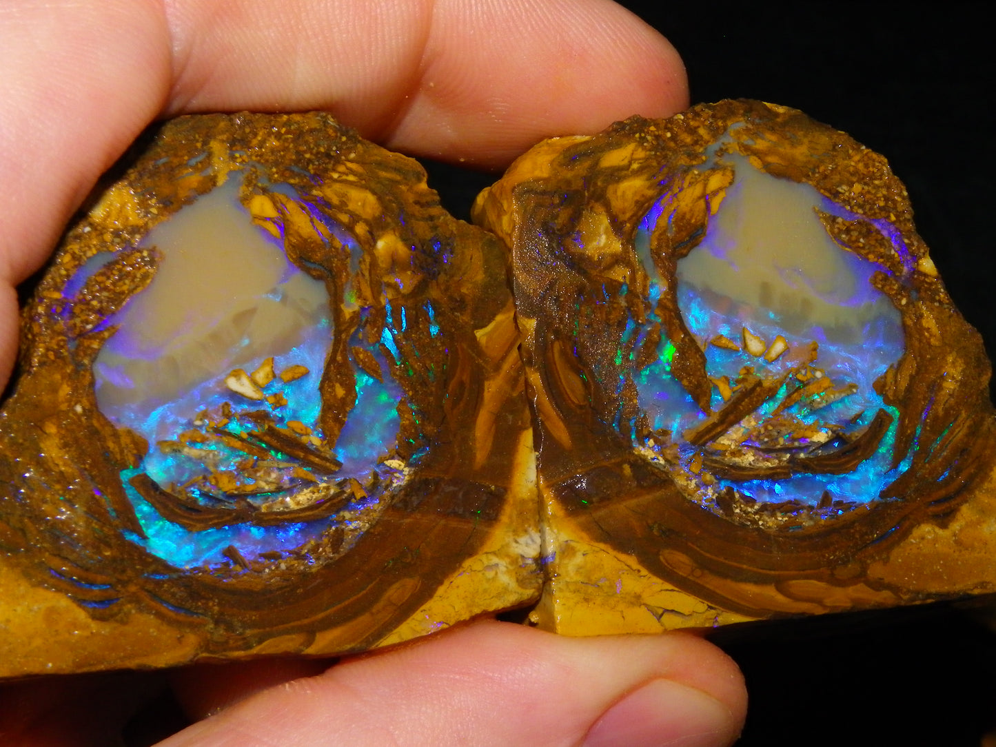 Very Nice Qld Pipe Opal Rough Slice Parcel/Set 2240cts Blue/Green/Purple Collectors lot 6 Piece