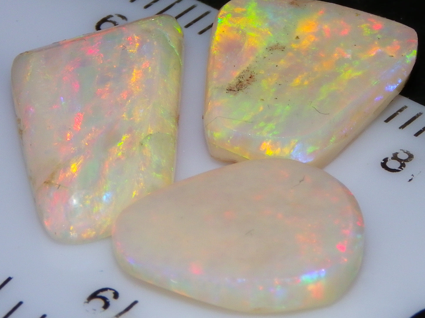3 Gem Rubbed/Preform/Rough Opals 10.2cts Coober Pedy Multicolour Fires Australia Au