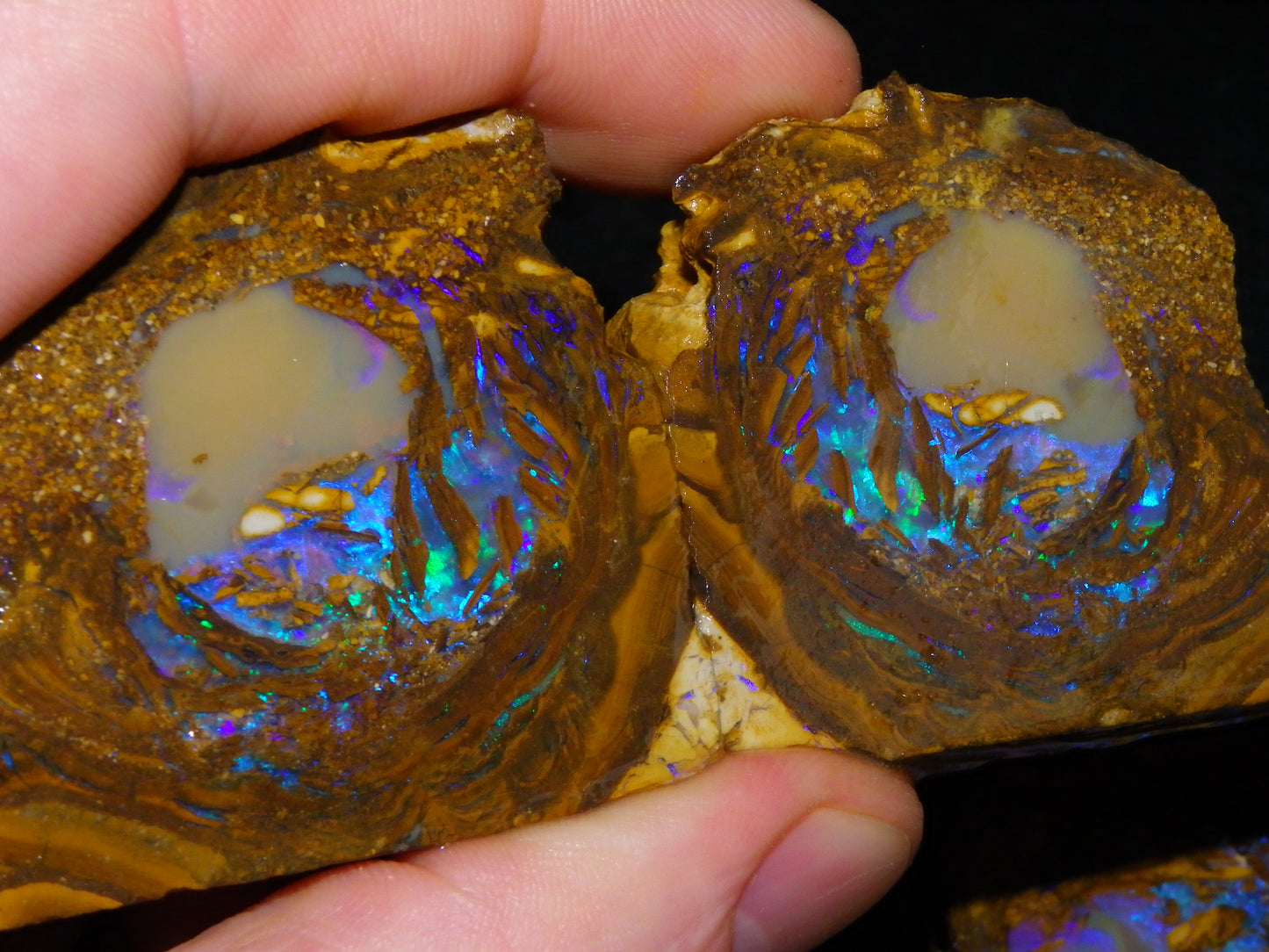 Very Nice Qld Pipe Opal Rough Slice Parcel/Set 2240cts Blue/Green/Purple Collectors lot 6 Piece