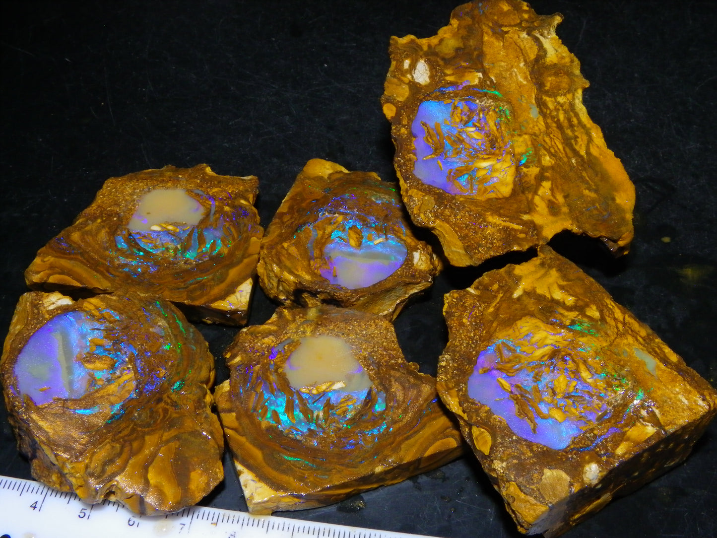 Very Nice Qld Pipe Opal Rough Slice Parcel/Set 2240cts Blue/Green/Purple Collectors lot 6 Piece
