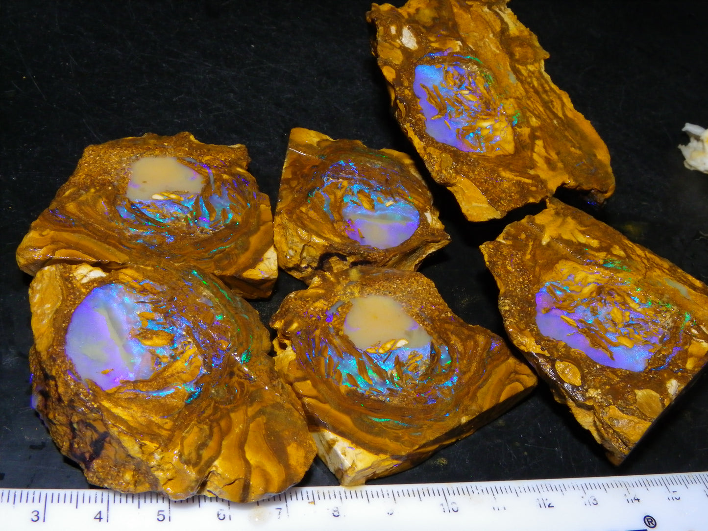 Very Nice Qld Pipe Opal Rough Slice Parcel/Set 2240cts Blue/Green/Purple Collectors lot 6 Piece
