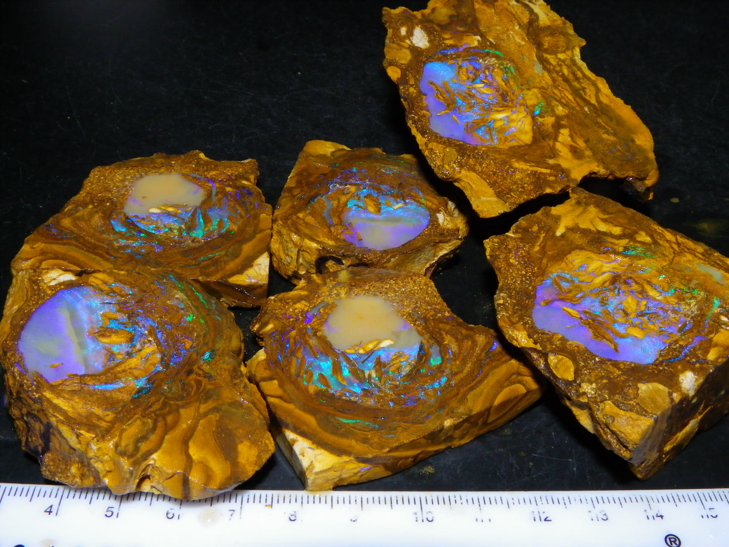 Very Nice Qld Pipe Opal Rough Slice Parcel/Set 2240cts Blue/Green/Purple Collectors lot 6 Piece