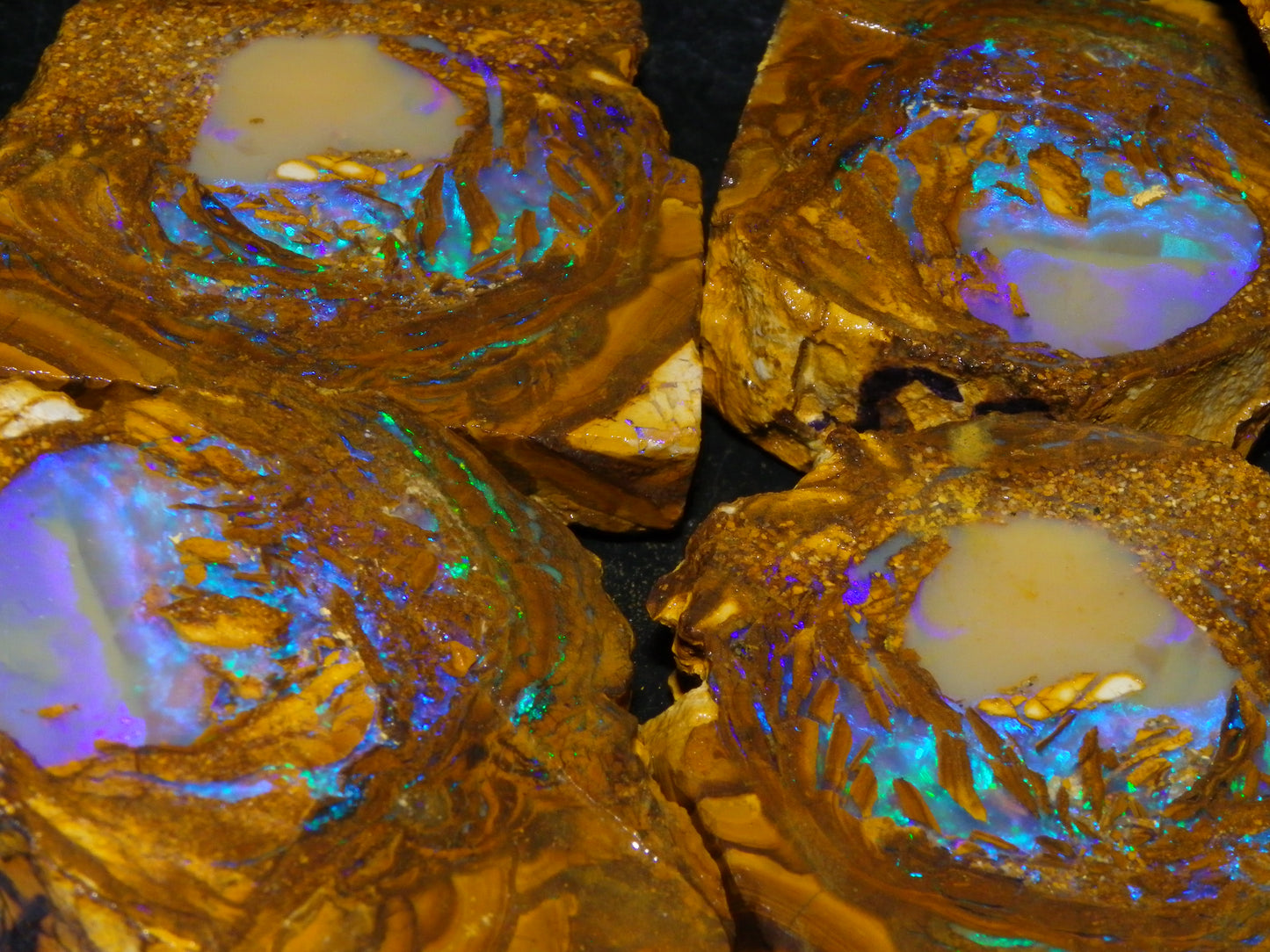 Very Nice Qld Pipe Opal Rough Slice Parcel/Set 2240cts Blue/Green/Purple Collectors lot 6 Piece