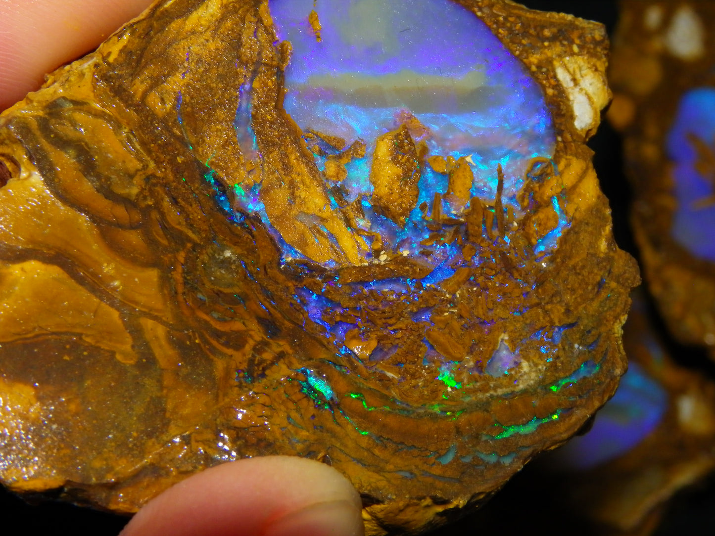 Very Nice Qld Pipe Opal Rough Slice Parcel/Set 2240cts Blue/Green/Purple Collectors lot 6 Piece