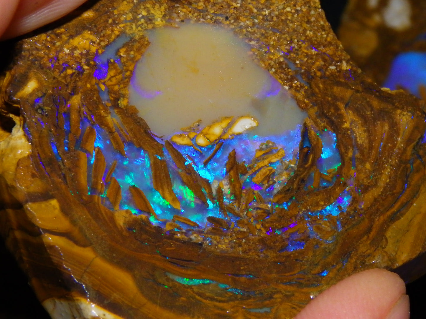 Very Nice Qld Pipe Opal Rough Slice Parcel/Set 2240cts Blue/Green/Purple Collectors lot 6 Piece
