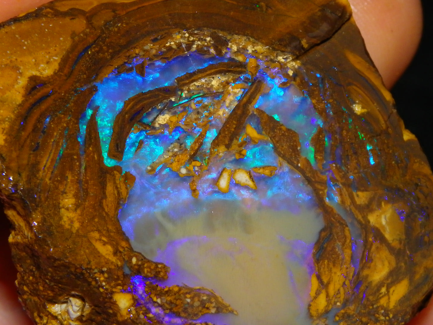 Very Nice Qld Pipe Opal Rough Slice Parcel/Set 2240cts Blue/Green/Purple Collectors lot 6 Piece