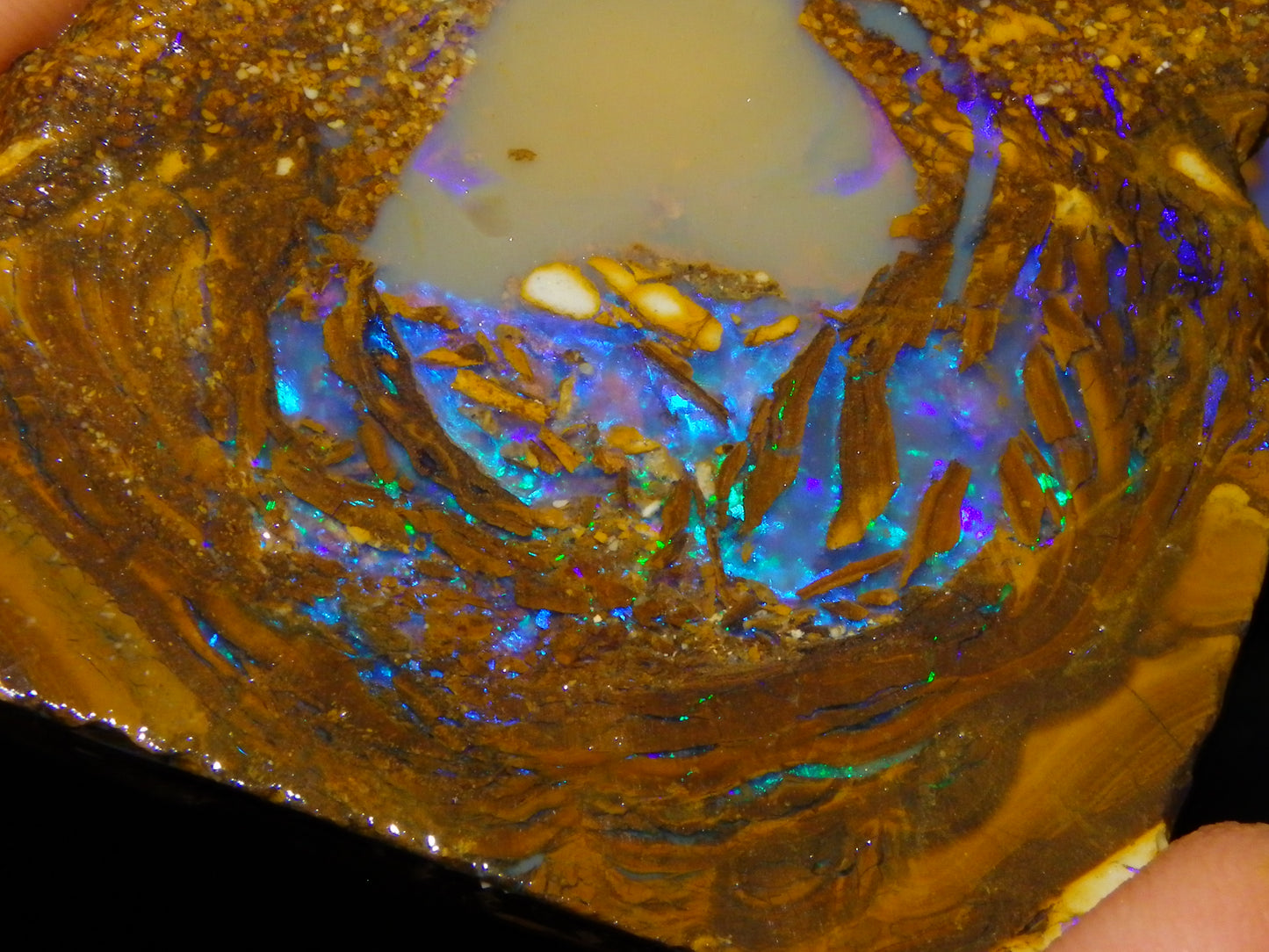 Very Nice Qld Pipe Opal Rough Slice Parcel/Set 2240cts Blue/Green/Purple Collectors lot 6 Piece