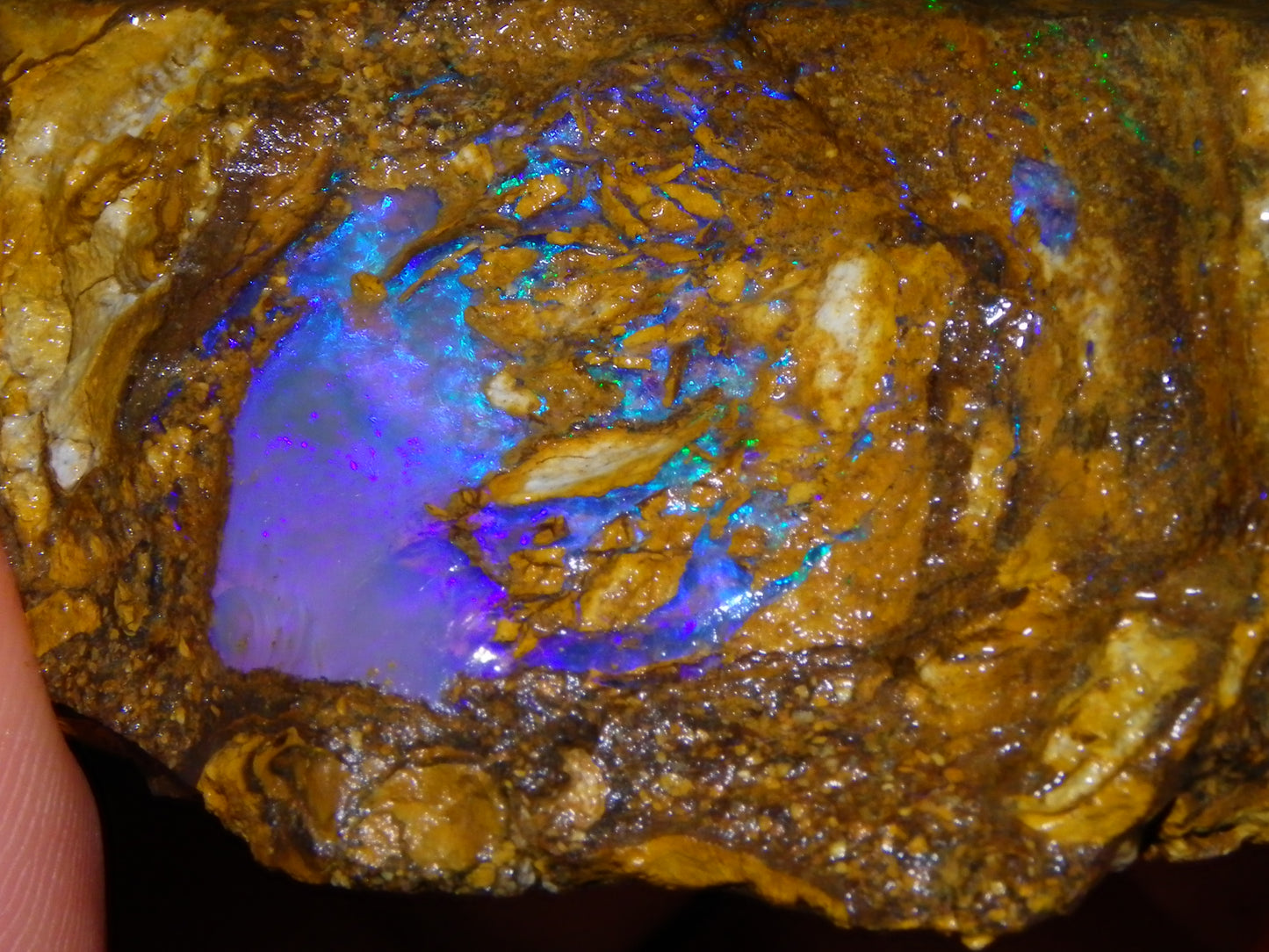 Very Nice Qld Pipe Opal Rough Slice Parcel/Set 2240cts Blue/Green/Purple Collectors lot 6 Piece