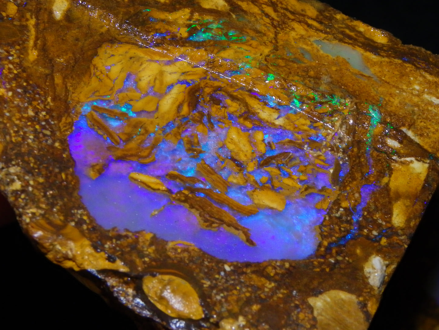 Very Nice Qld Pipe Opal Rough Slice Parcel/Set 2240cts Blue/Green/Purple Collectors lot 6 Piece