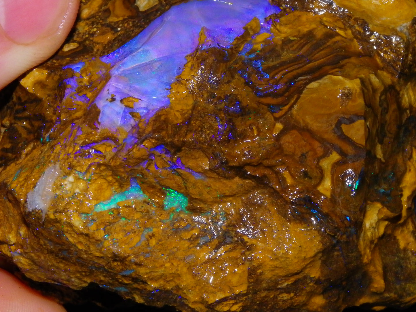 Very Nice Qld Pipe Opal Rough Slice Parcel/Set 2240cts Blue/Green/Purple Collectors lot 6 Piece