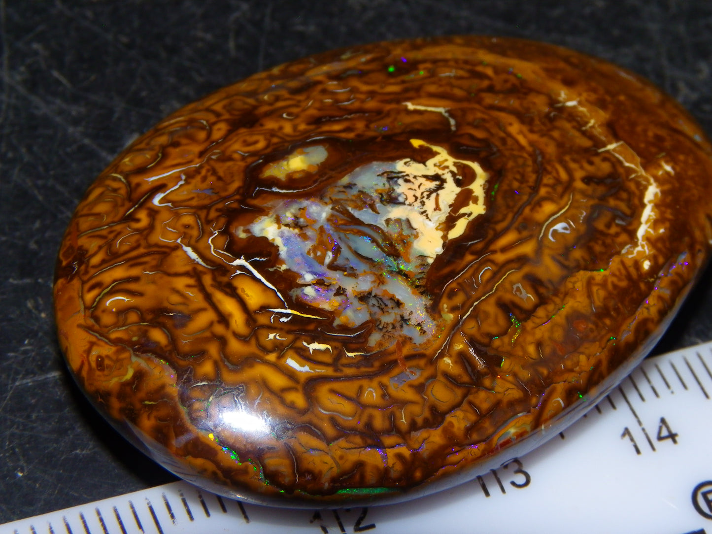Nice Cut/Polished Koroit Nut Opal Cab 114.6cts Patterns/Green/Blue Fires