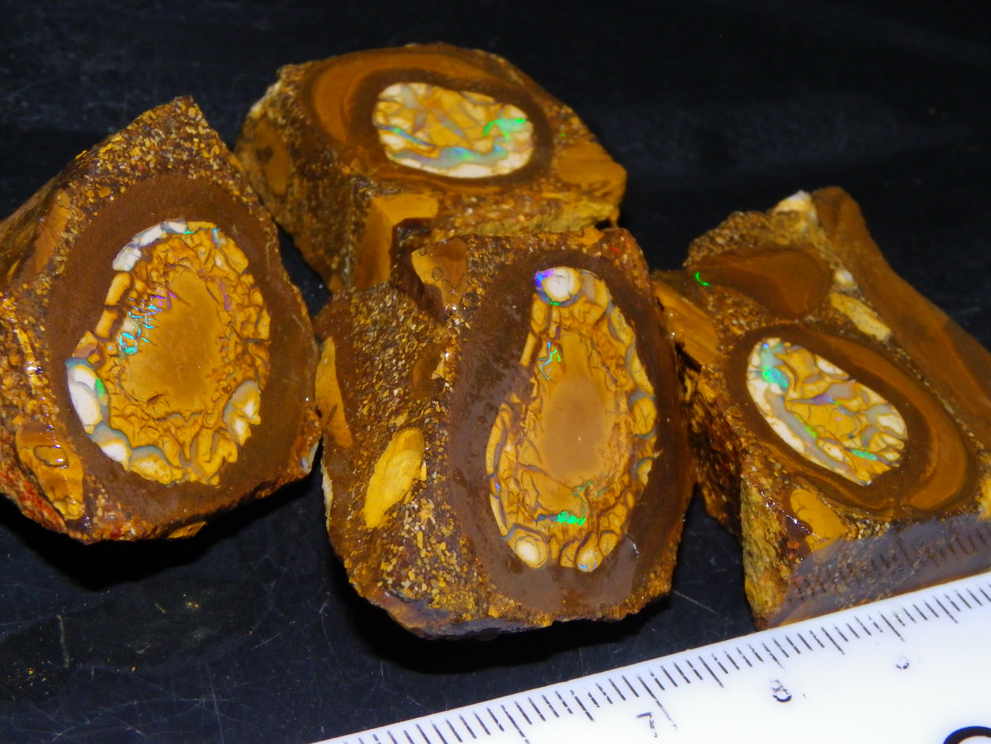 2 Nice Sliced Opalton/Nut Opal specimens 277cts Green Fire/Patterns Pairs