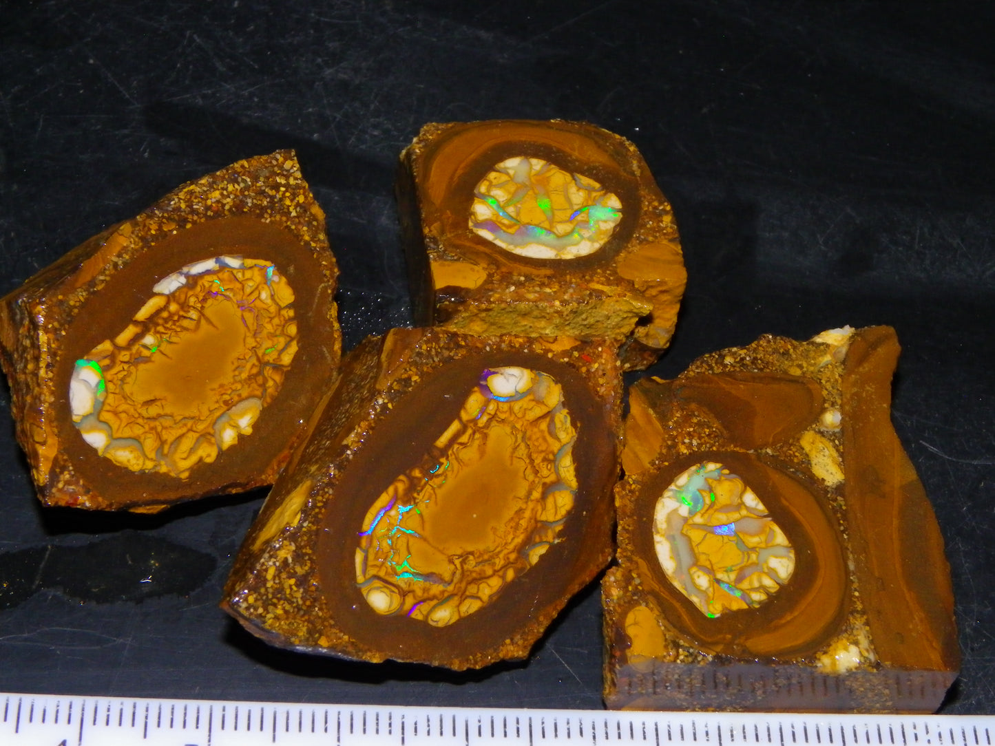 2 Nice Sliced Opalton/Nut Opal specimens 277cts Green Fire/Patterns Pairs