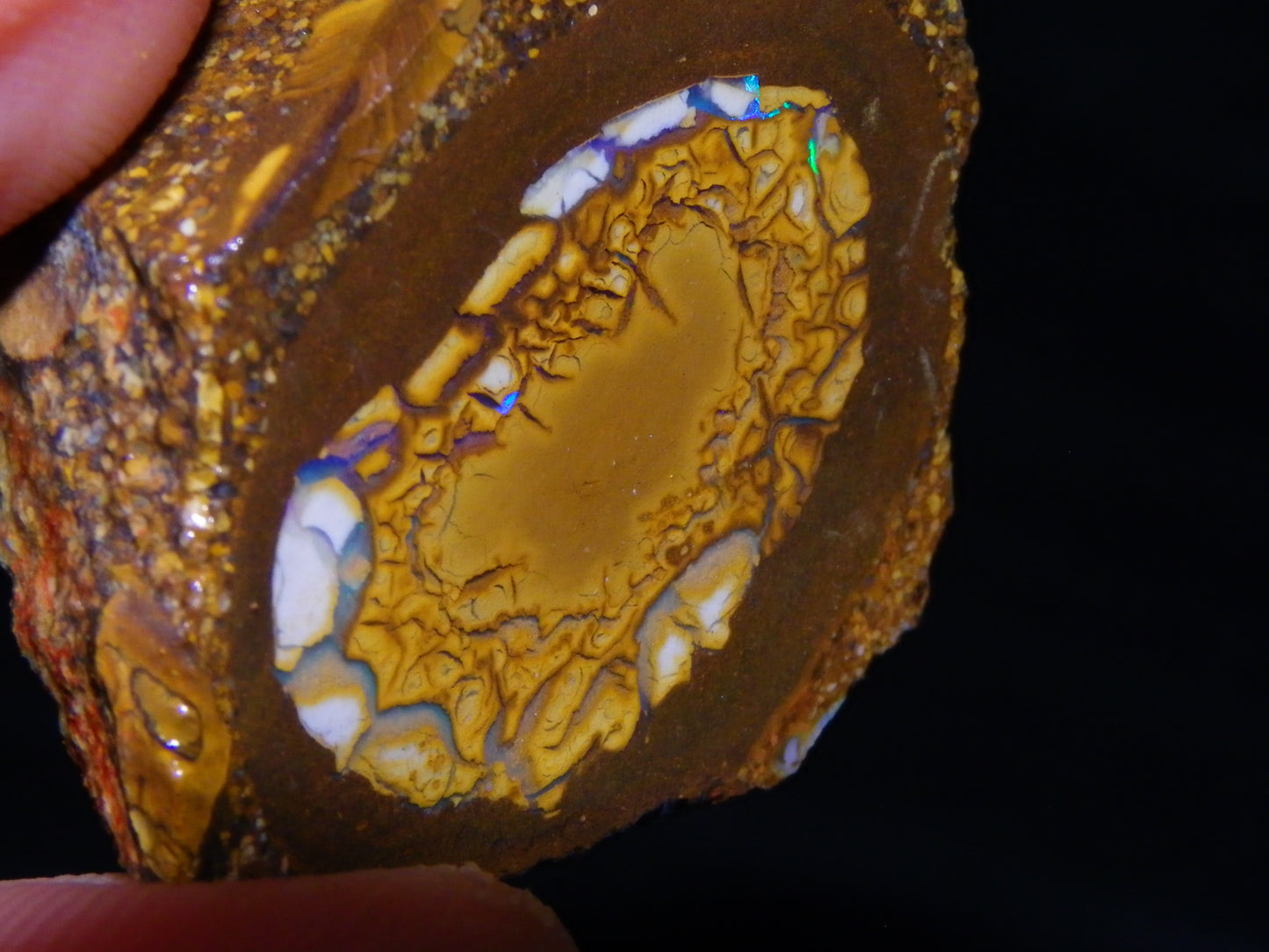 2 Nice Sliced Opalton/Nut Opal specimens 277cts Green Fire/Patterns Pairs