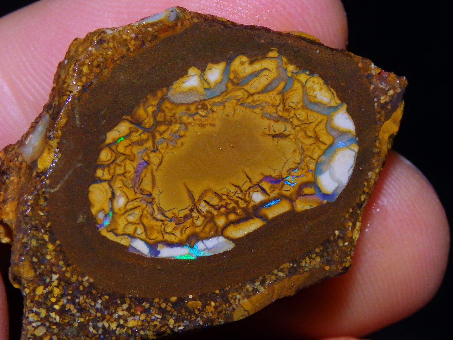 2 Nice Sliced Opalton/Nut Opal specimens 277cts Green Fire/Patterns Pairs