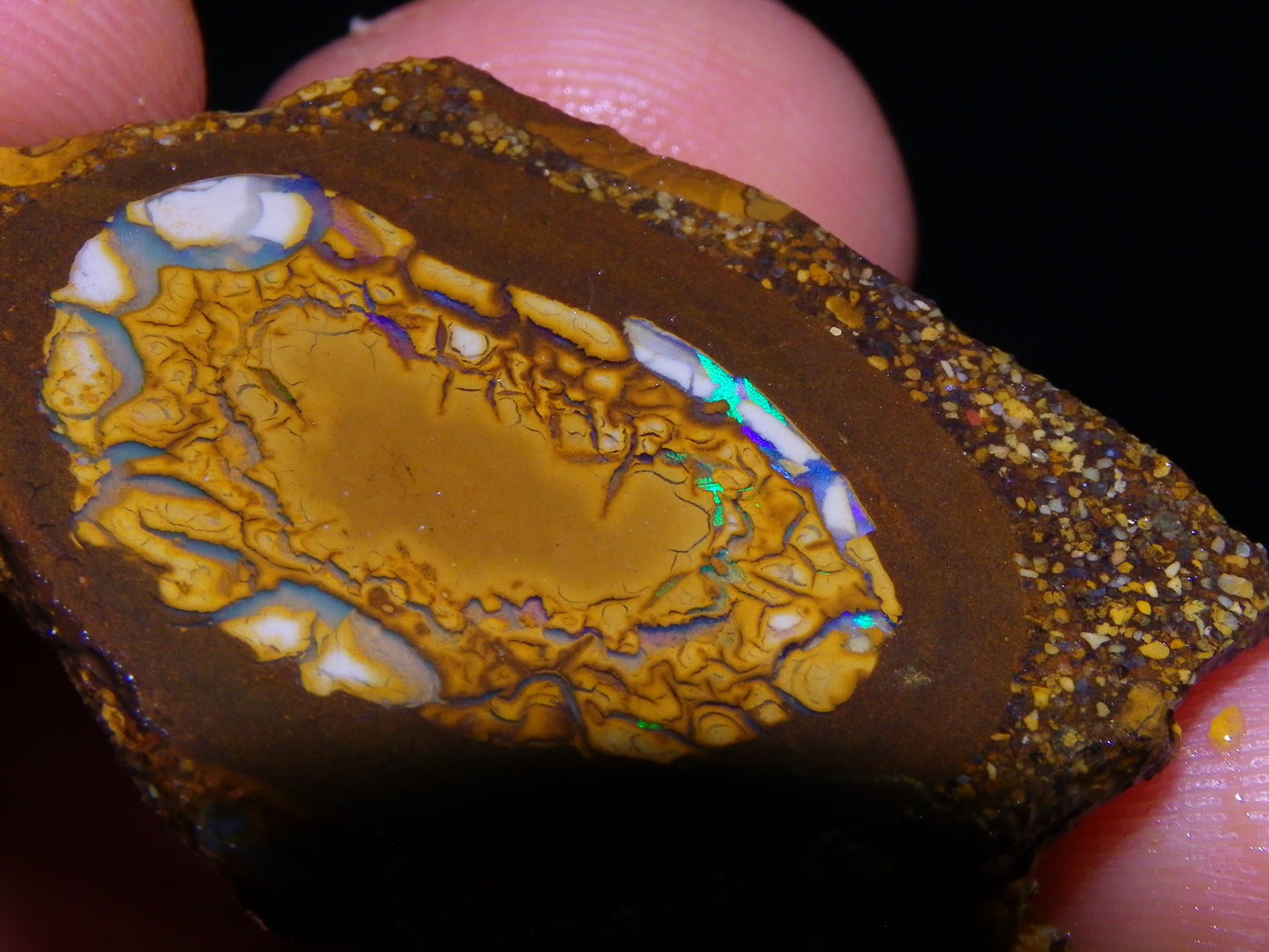 2 Nice Sliced Opalton/Nut Opal specimens 277cts Green Fire/Patterns Pairs