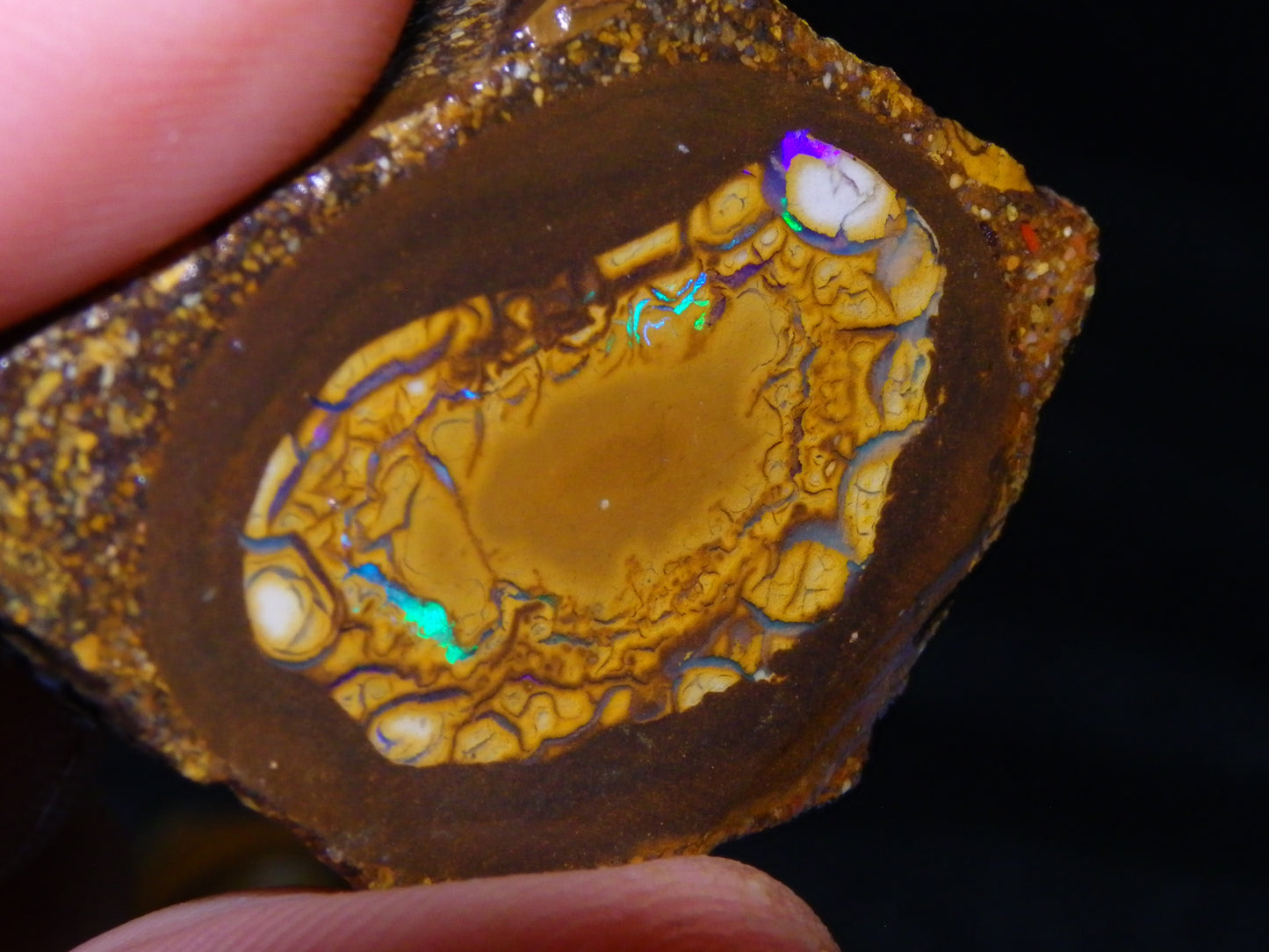 2 Nice Sliced Opalton/Nut Opal specimens 277cts Green Fire/Patterns Pairs
