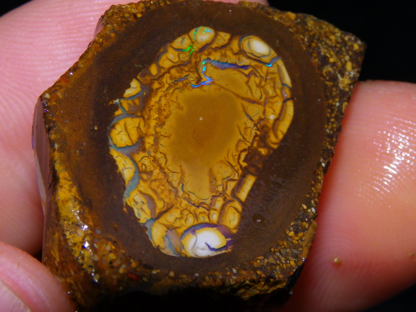 2 Nice Sliced Opalton/Nut Opal specimens 277cts Green Fire/Patterns Pairs