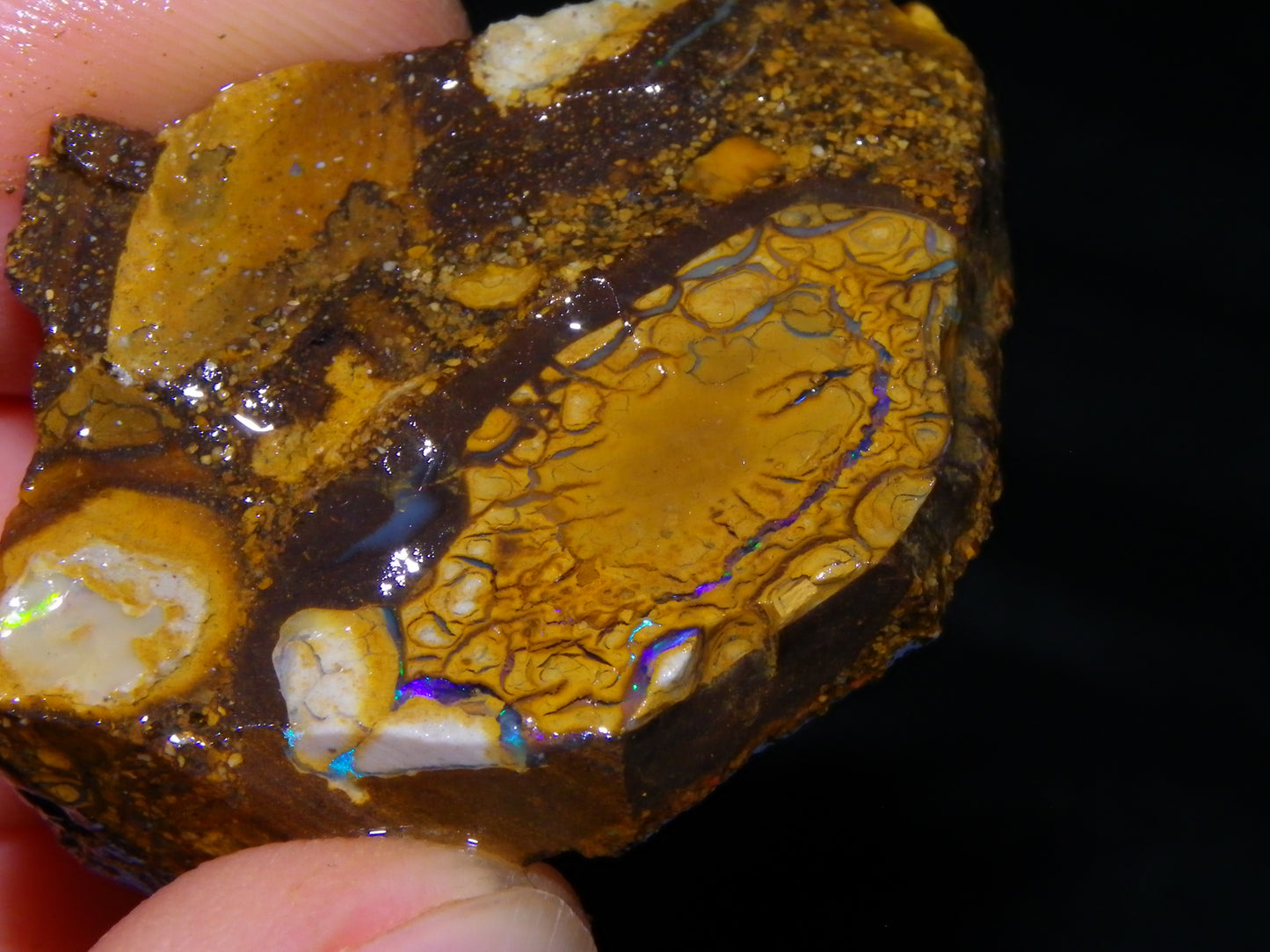 2 Nice Sliced Opalton/Nut Opal specimens 277cts Green Fire/Patterns Pairs