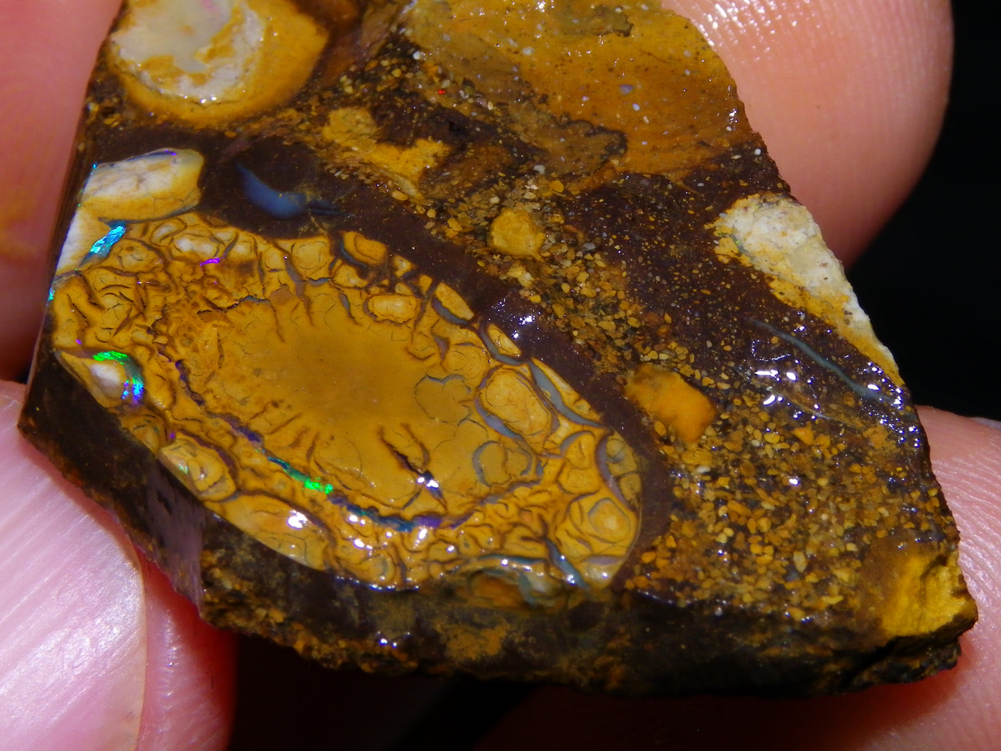 2 Nice Sliced Opalton/Nut Opal specimens 277cts Green Fire/Patterns Pairs