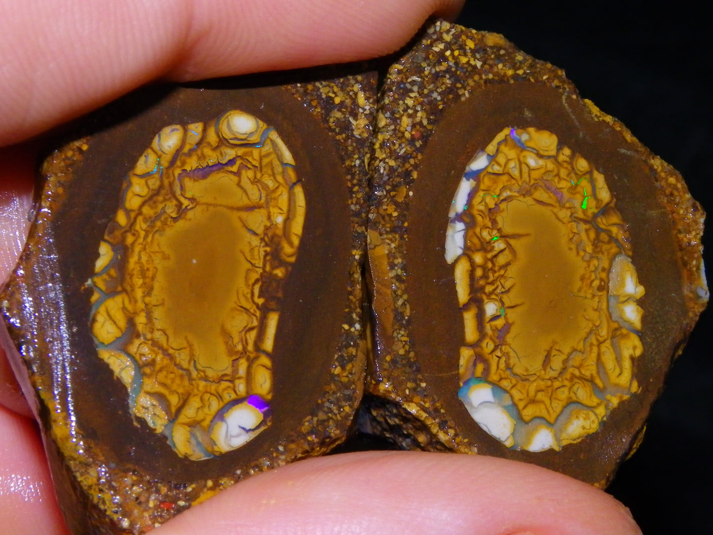 2 Nice Sliced Opalton/Nut Opal specimens 277cts Green Fire/Patterns Pairs