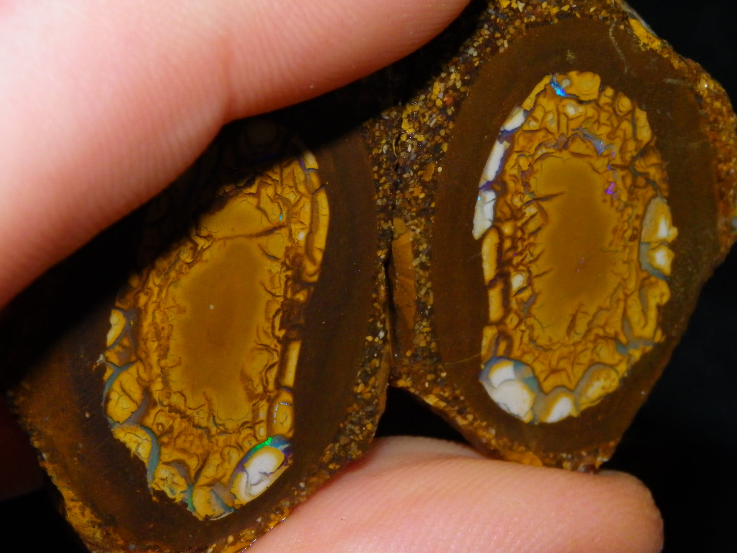 2 Nice Sliced Opalton/Nut Opal specimens 277cts Green Fire/Patterns Pairs