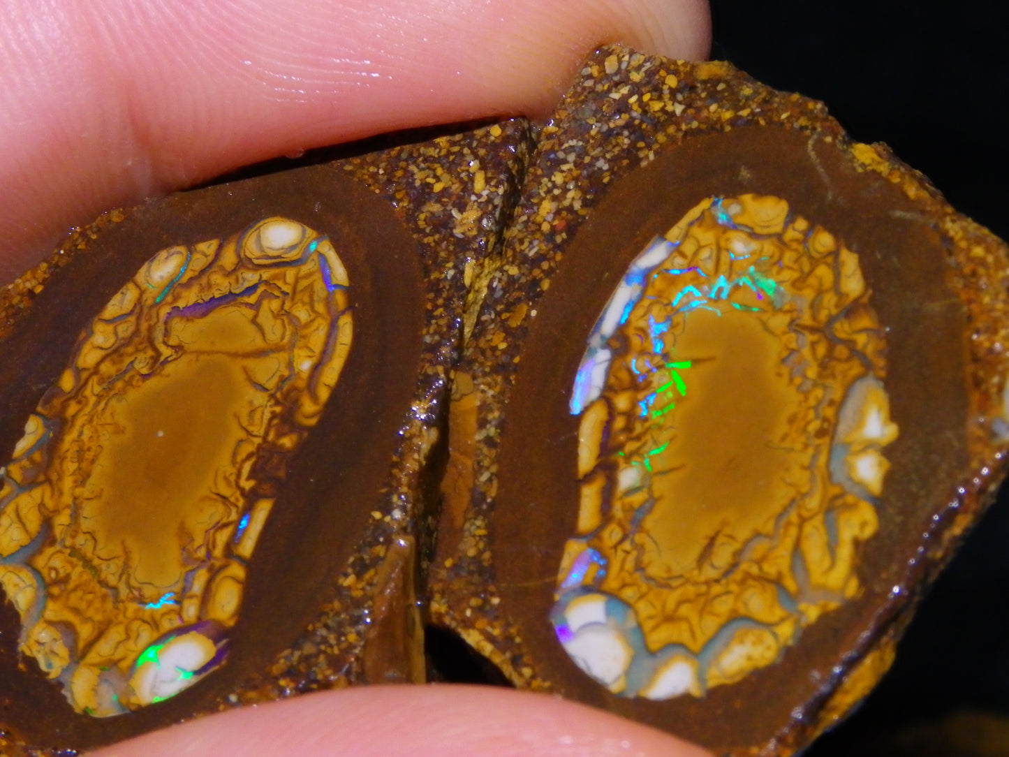 2 Nice Sliced Opalton/Nut Opal specimens 277cts Green Fire/Patterns Pairs