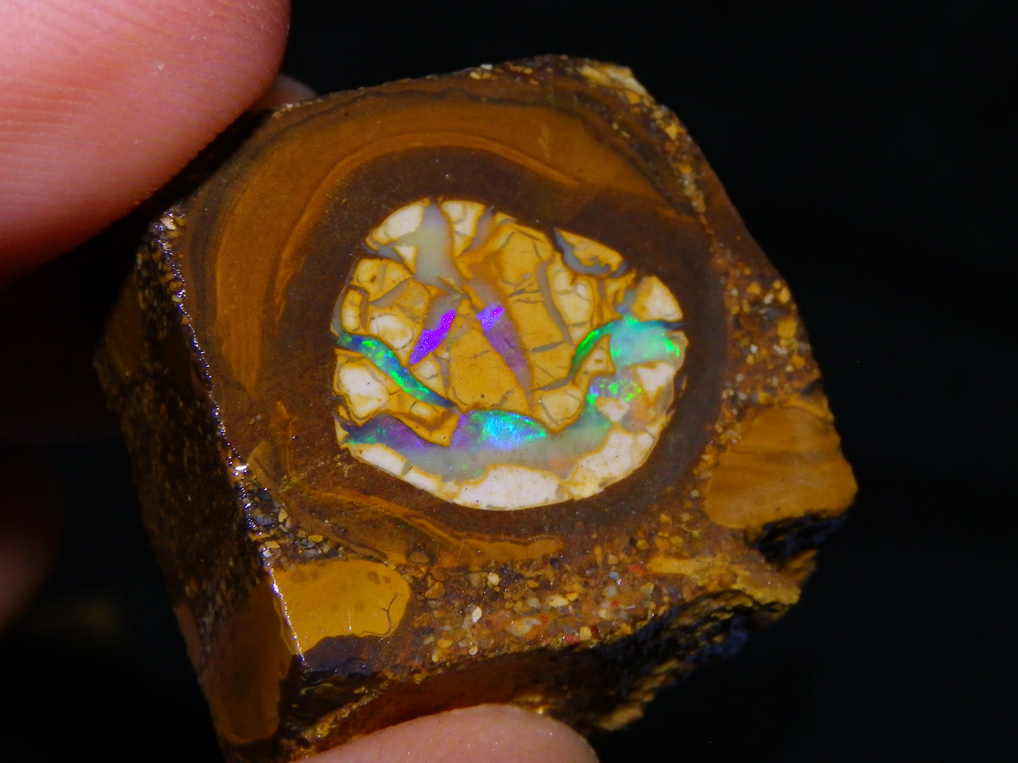 2 Nice Sliced Opalton/Nut Opal specimens 277cts Green Fire/Patterns Pairs