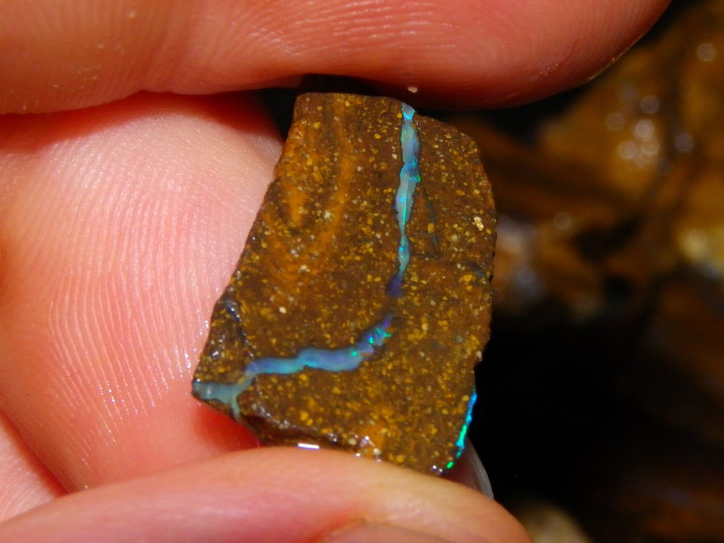 Nice Sliced/Rough Koroit Opal Parcel 1088cts Queensland Australia :) Ironstones