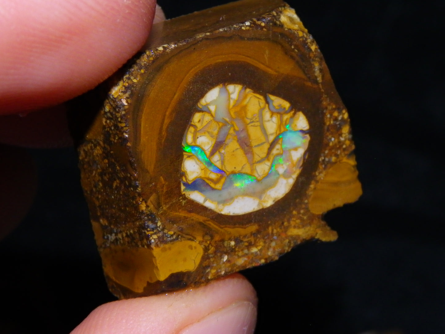2 Nice Sliced Opalton/Nut Opal specimens 277cts Green Fire/Patterns Pairs