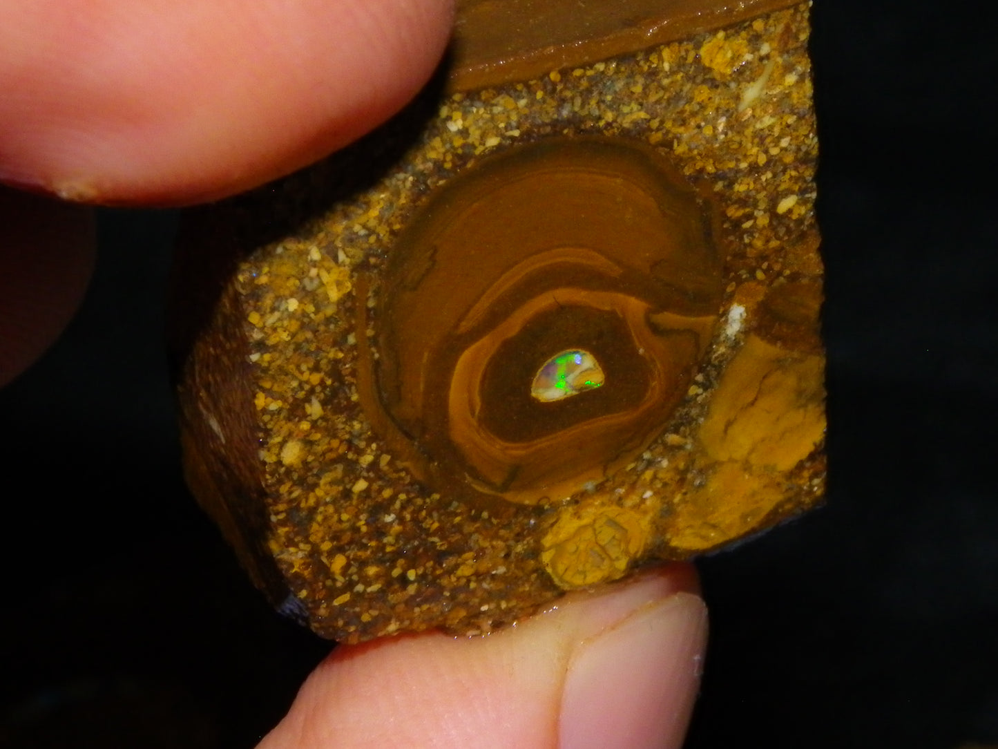 2 Nice Sliced Opalton/Nut Opal specimens 277cts Green Fire/Patterns Pairs