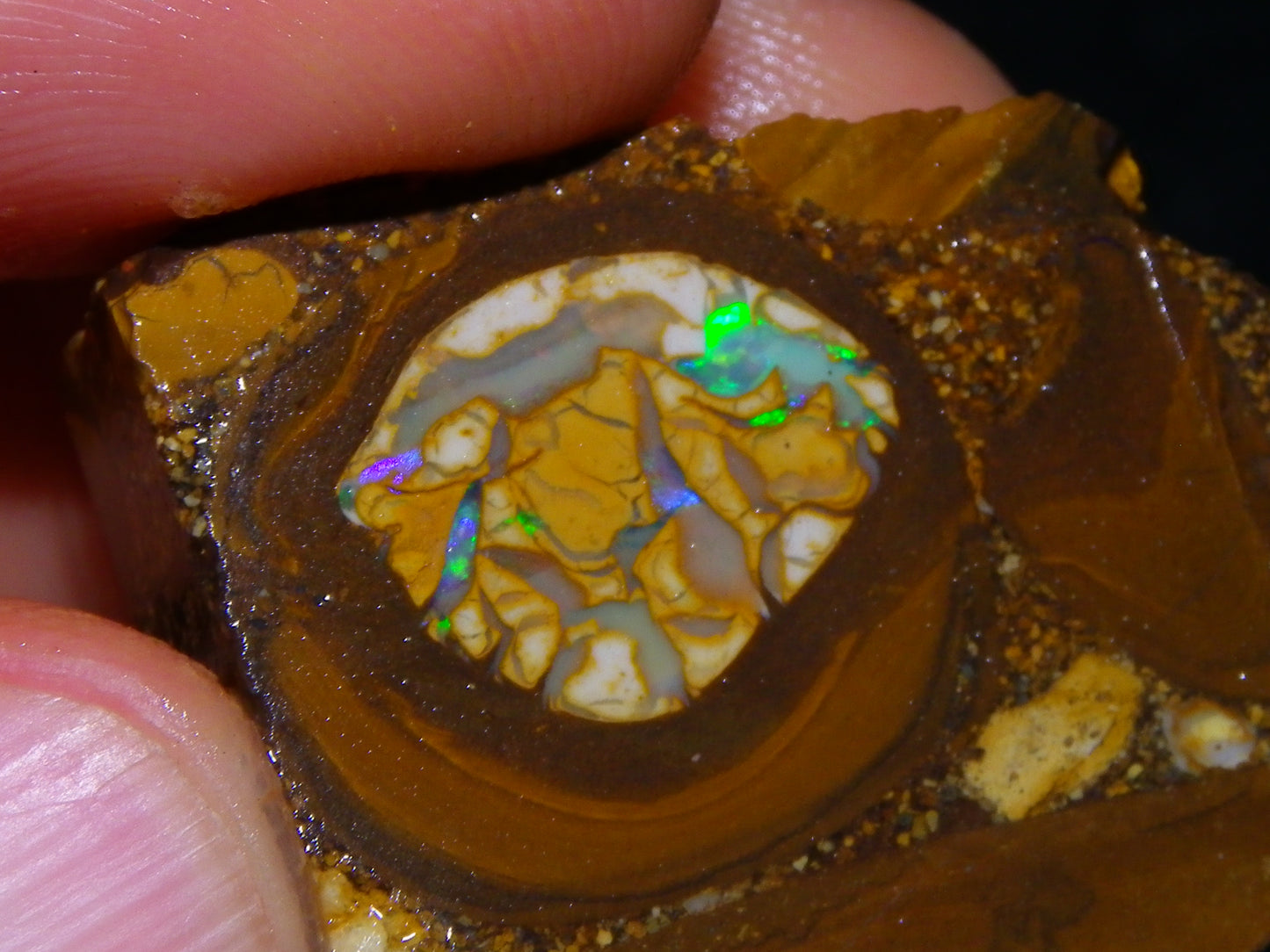 2 Nice Sliced Opalton/Nut Opal specimens 277cts Green Fire/Patterns Pairs