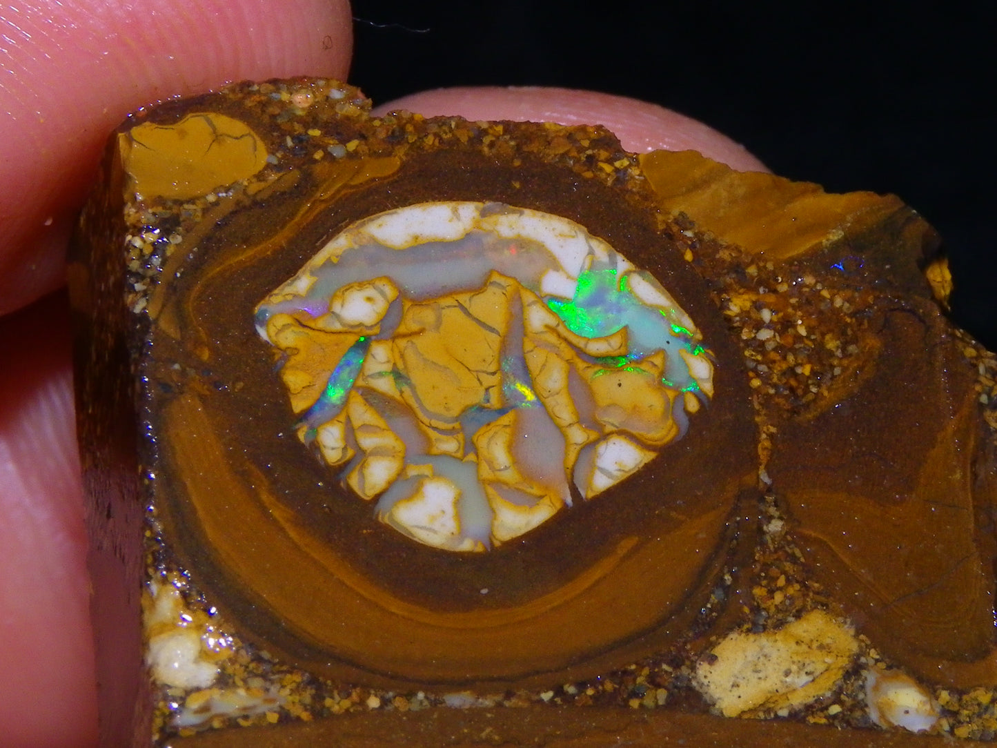 2 Nice Sliced Opalton/Nut Opal specimens 277cts Green Fire/Patterns Pairs