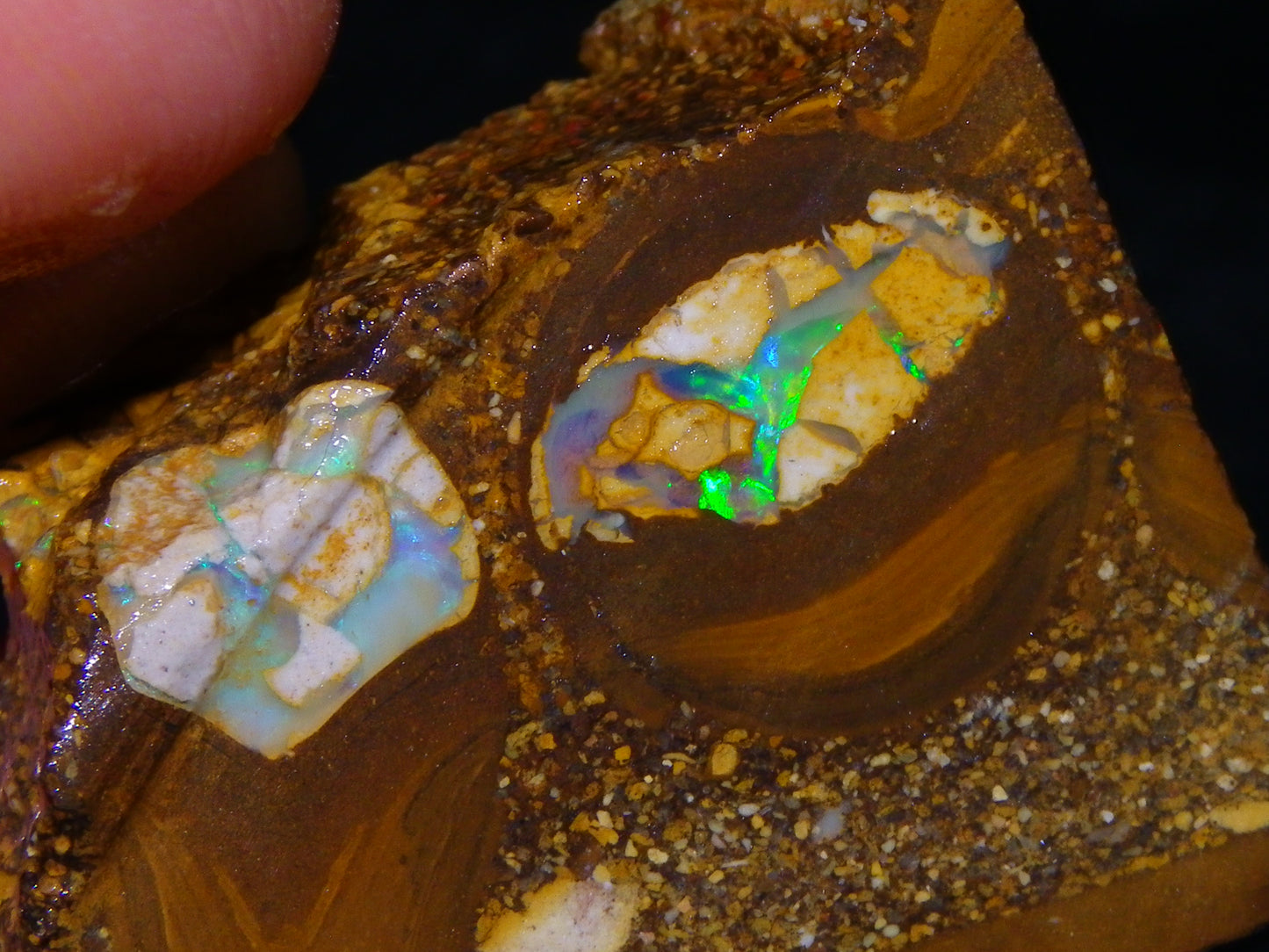 2 Nice Sliced Opalton/Nut Opal specimens 277cts Green Fire/Patterns Pairs