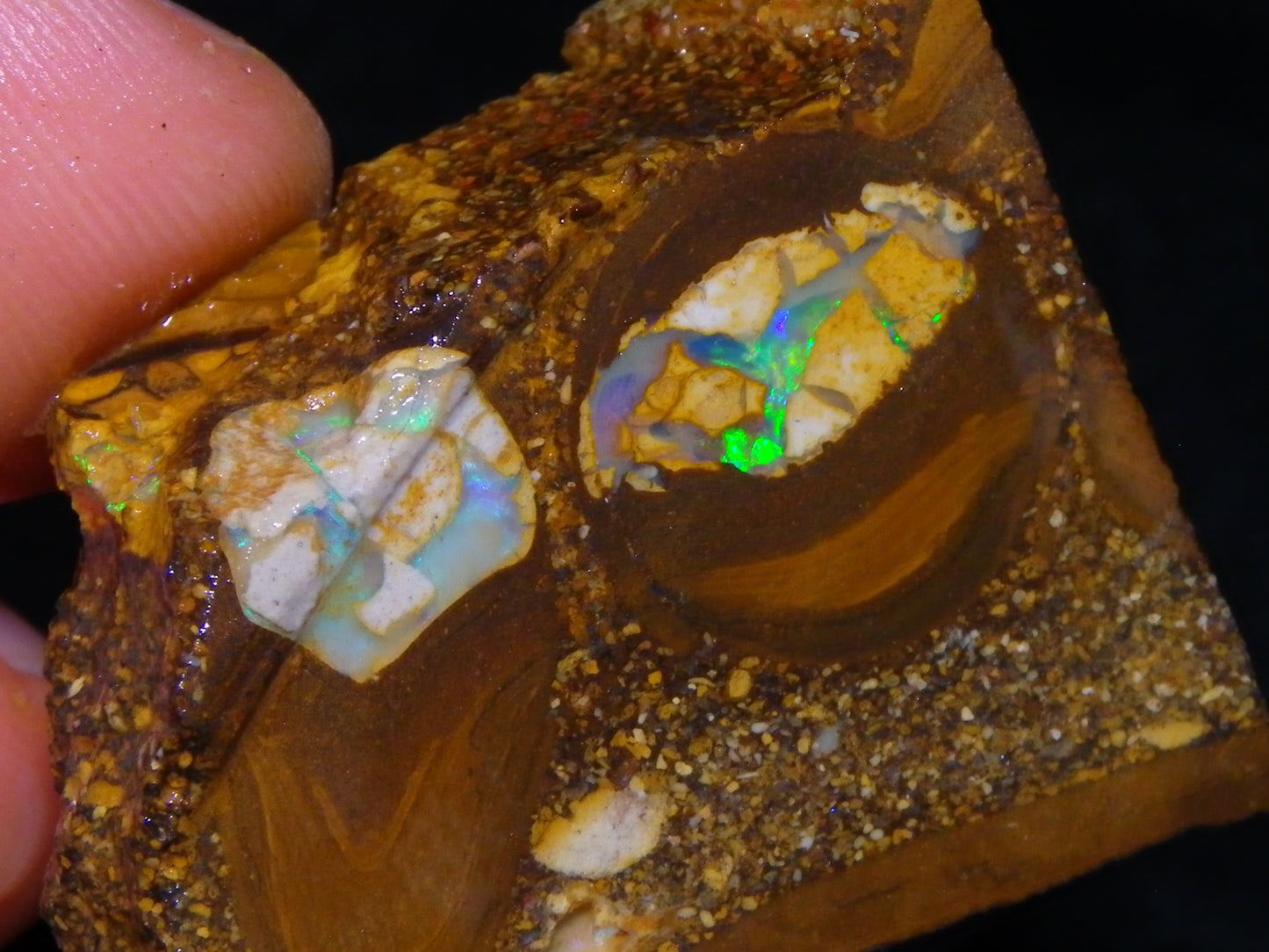2 Nice Sliced Opalton/Nut Opal specimens 277cts Green Fire/Patterns Pairs