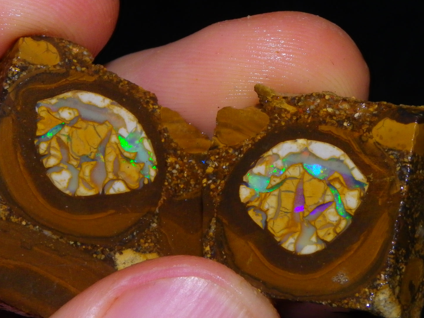 2 Nice Sliced Opalton/Nut Opal specimens 277cts Green Fire/Patterns Pairs